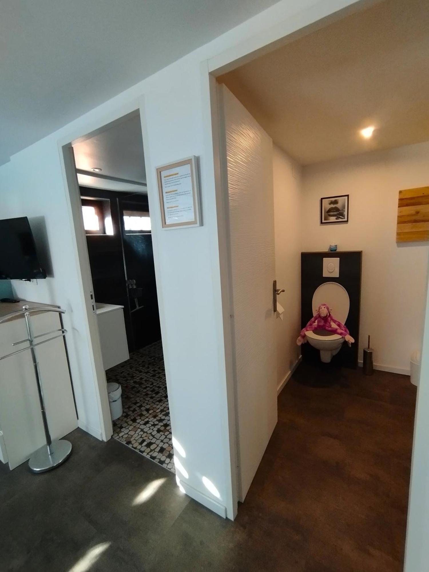 Le Ptit Lou Appartement Kaysersberg-Vignoble Buitenkant foto